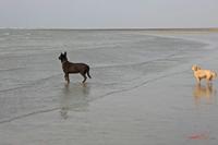 Cjp_2010_04_14_174132 (1).jpg